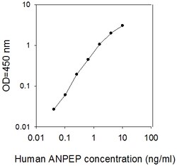 Raybiotech Inc Human Aminopeptidase N/ANPEP ELISA Kit, Quantity: Each of