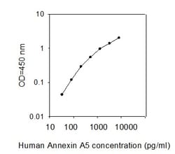 Raybiotech Inc Human Annexin A5/Annexin V ELISA Kit, Quantity: Each of