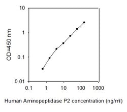 Raybiotech Inc Human Aminopeptidase P2/XPNPEP2 ELISA Kit, Quantity: Each
