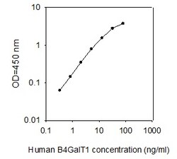 Raybiotech Inc Human B4GalT1 ELISA Kit, Quantity: Each of 1