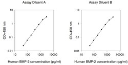 Raybiotech Inc Human BMP-2 ELISA Kit, Quantity: Each of 1