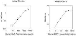 Raybiotech Inc Human BMP-7 ELISA Kit, Quantity: Each of 1