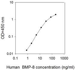 Raybiotech Inc Human BMP-8 ELISA Kit, Quantity: Each of 1