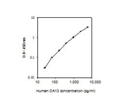 Raybiotech Inc Human CA13 ELISA Kit, Quantity: Each of 1
