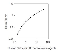 Raybiotech Inc Human Cathepsin H ELISA Kit, Quantity: Each of 1