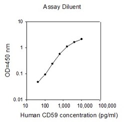 Raybiotech Inc Human CD59 ELISA Kit, Quantity: Each of 1
