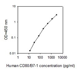 Raybiotech Inc Human CD80 (B7-1) ELISA Kit, Quantity: Each of 1