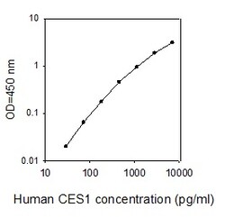 Raybiotech Inc Human Carboxylesterase 1/CES1 ELISA Kit, Quantity: Each