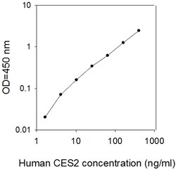 Raybiotech Inc Human Carboxylesterase 2/CES2 ELISA Kit, Quantity: Each