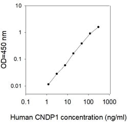 Raybiotech Inc Human Carnosine Dipeptidase-1/CNDP1 ELISA Kit, Quantity: