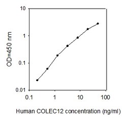 Raybiotech Inc Human Collectin-12/CL-P1 ELISA Kit, Quantity: Each of 1