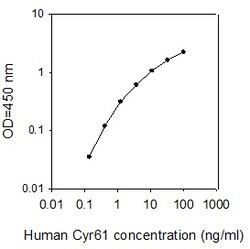 Raybiotech Inc Human Cyr61/CCN1 ELISA Kit, Quantity: Each of 1