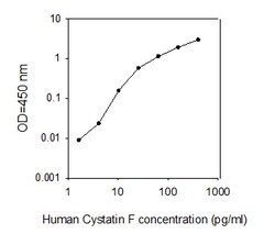 Raybiotech Inc Human Cystatin F ELISA Kit, Quantity: Each of 1