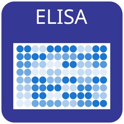 Raybiotech Inc Mouse Leptin Receptor ELISA Kit, Quantity: Each of 1