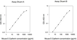 Raybiotech Inc Mouse E-Cadherin ELISA Kit, Quantity: Each of 1