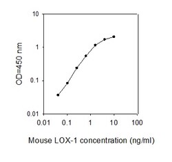 Raybiotech Inc Mouse LOX-1/OLR1 ELISA Kit, Quantity: Each of 1
