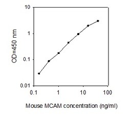 Raybiotech Inc Mouse MCAM/CD146 ELISA Kit, Quantity: Each of 1