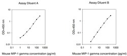 Raybiotech Inc Mouse MIP-1 gamma ELISA Kit, Quantity: Each of 1