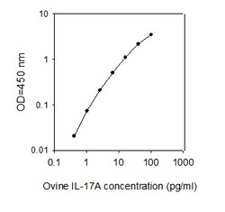 Raybiotech Inc Ovine IL-17A ELISA Kit, Quantity: Each of 1