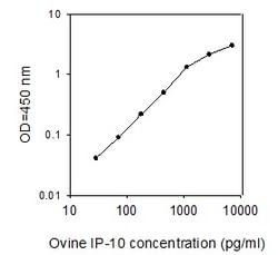 Raybiotech Inc Ovine IP-10 (CXCL10) ELISA Kit, Quantity: Each of 1
