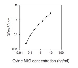 Raybiotech Inc Ovine MIG ELISA Kit, Quantity: Each of 1