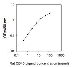 Raybiotech Inc Rat CD40 Ligand/TNFSF5 ELISA Kit, Quantity: Each of 1