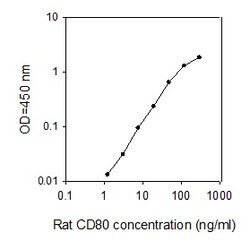 Raybiotech Inc Rat CD80 (B7-1) ELISA Kit, Quantity: Each of 1