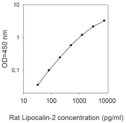 Raybiotech Inc Rat Lipocalin-2 (NGAL) ELISA Kit, Quantity: Each of 1