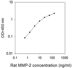Raybiotech Inc Rat MMP-2 ELISA Kit, Quantity: Each of 1