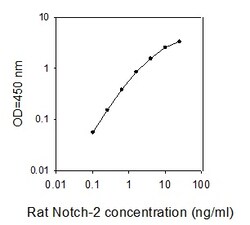 Raybiotech Inc Rat Notch-2 ELISA Kit, Quantity: Each of 1
