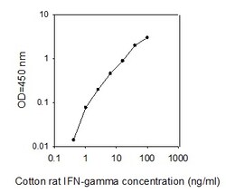 Raybiotech Inc Sigmodon IFN-gamma ELISA Kit, Quantity: Each of 1