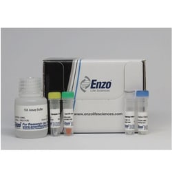 Enzo Life Sciences CYTO-ID Autophagy detection kit (1x50tests), Quantity: