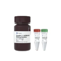 VAZYME INTERNATIONAL LLC&nbsp;Vazyme Equalbit 1 &times; dsDNA HS Assay Kit, 100 Reactions, 0.2 to 100 ng dsDNA