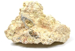 Eisco™ Breccia Specimen