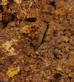 Eisco Limonite Mineral Specimen Specimen Size: 2 to 3 cm; Quantity: 1/Ea.:Education