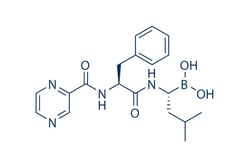 Selleck Chemical LLC&nbsp;Bortezomib (PS-341) 25mg 179324-69-7 LDP-341, MLM341