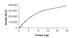 Sino Biological&nbsp;Recombinant Human FGFR1OP & FGFR1 Protein (GST Tag), Active
