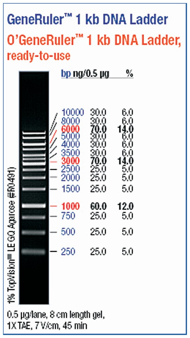 Thermo Scientific O GeneRuler 1 Kb DNA Ladder Ready to Use 250 10 000 Thermo Scientific O GeneRuler 1 Kb DNA Ladder Ready to Use 250 10 000