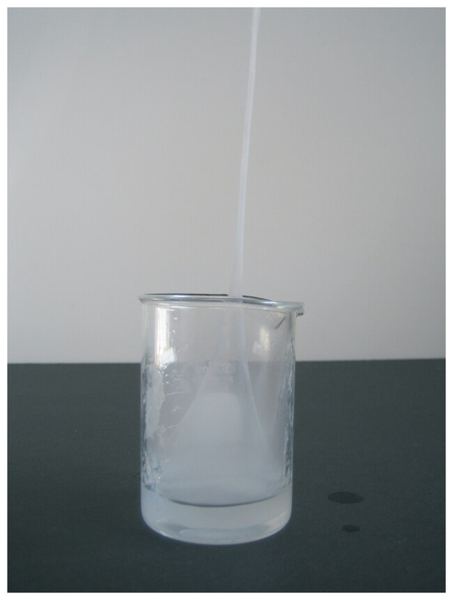 Innovating Science Nylon Rope Trick Nylon Rope TrickTeaching Supplies