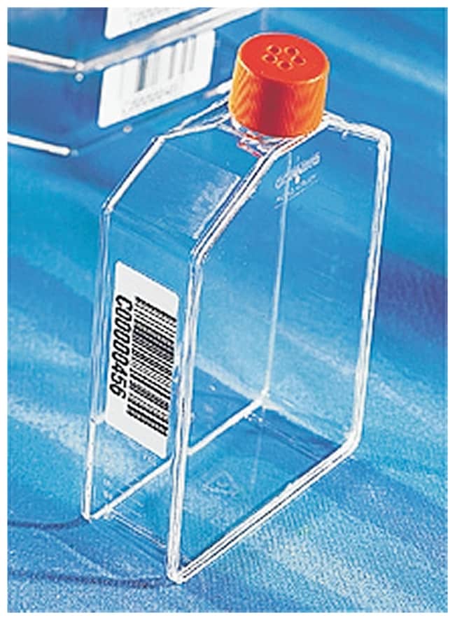 Corning™ Cell Culture Treated Flasks Flasks Dishes, Plates and Flasks