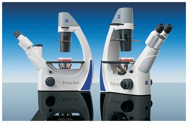 Carl Zeiss Primo Vert Inverted Microscope:Cell Culture:Microscopes and