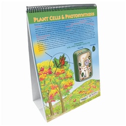 All About Plants Flip Chart Set