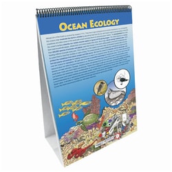 Learning Earth's Ocean Flip Chart Set