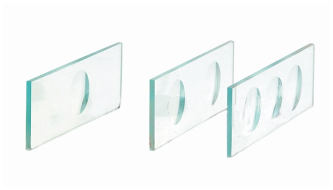 eisco concavity microscope slides