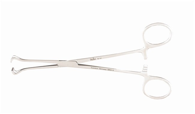 thumbnail image 2 of 2 Pcs BABCOCK Intestinal Forceps 8.25″ – 10mm Jaws – Stainless German Grade – Surginstruments 2 of 6
