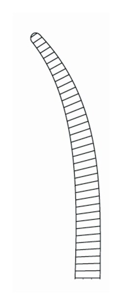 Integra Miltex MeisterHand Crile Forceps Curved | Buy Online | Integra&trade; Miltex&trade; | Fisher Scientific