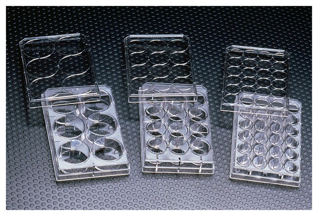 thumbnail interactive-video image 1 of 6 Well Tissue Plate 96 Well Cell Culture Plate With Tissue Culture TC Treated For Lab U Bottom Individual Packaging Sterile Pill Capsules Filling Tray 1 of 12