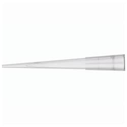 DWK Life Sciences Disposable 200 L Pipette Microtips Clear | Buy Online | DWK Life Sciences | Fisher Scientific