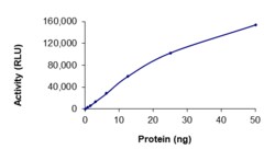 Sino Biological&nbsp;Recombinant Human FLT3 Protein (GST Tag), Active