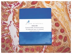 Azer Scientific&nbsp;Histology Tissue Control Slides